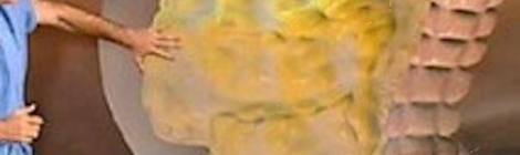 lower back pain surfing